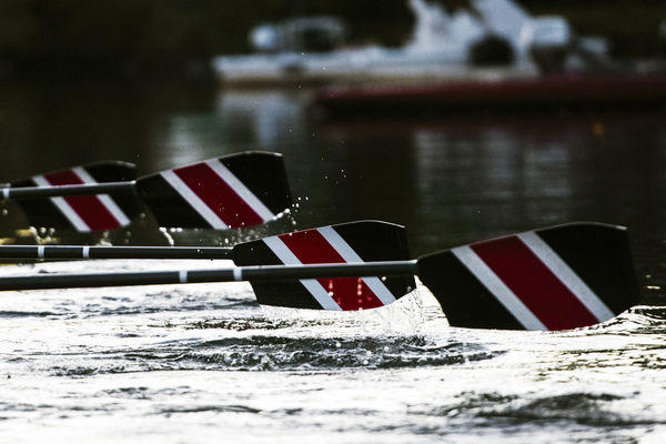 Celebrating 60 Years of Men's Rowing